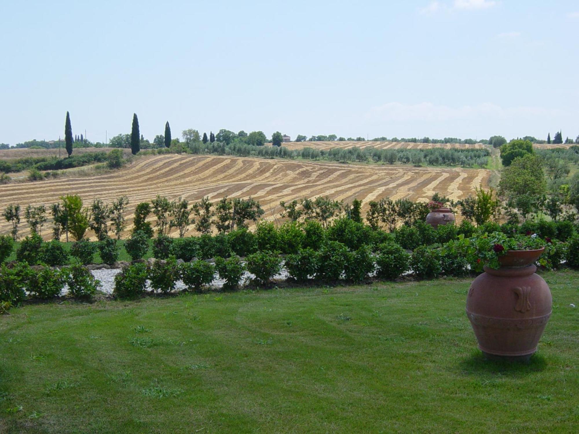 Il Macchione Pienza